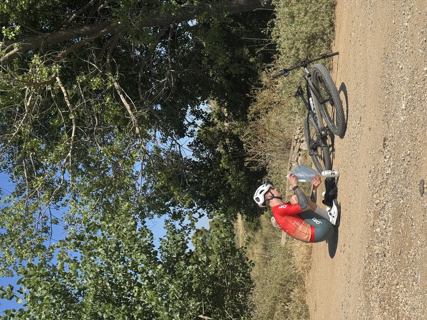 the road bike is getting jealous