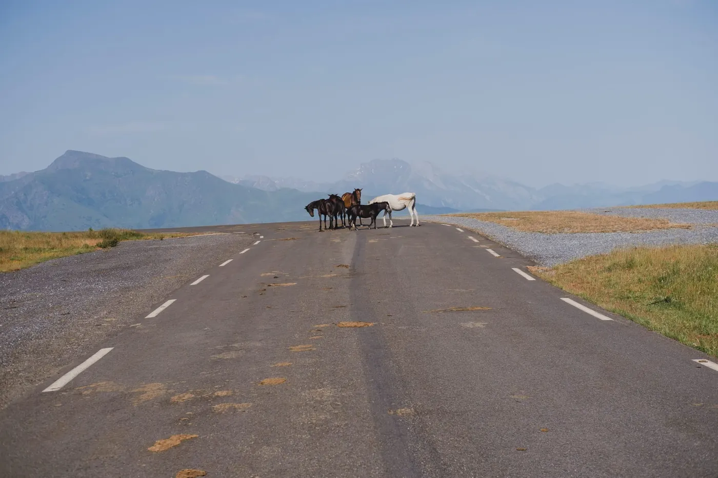 the roads we ride