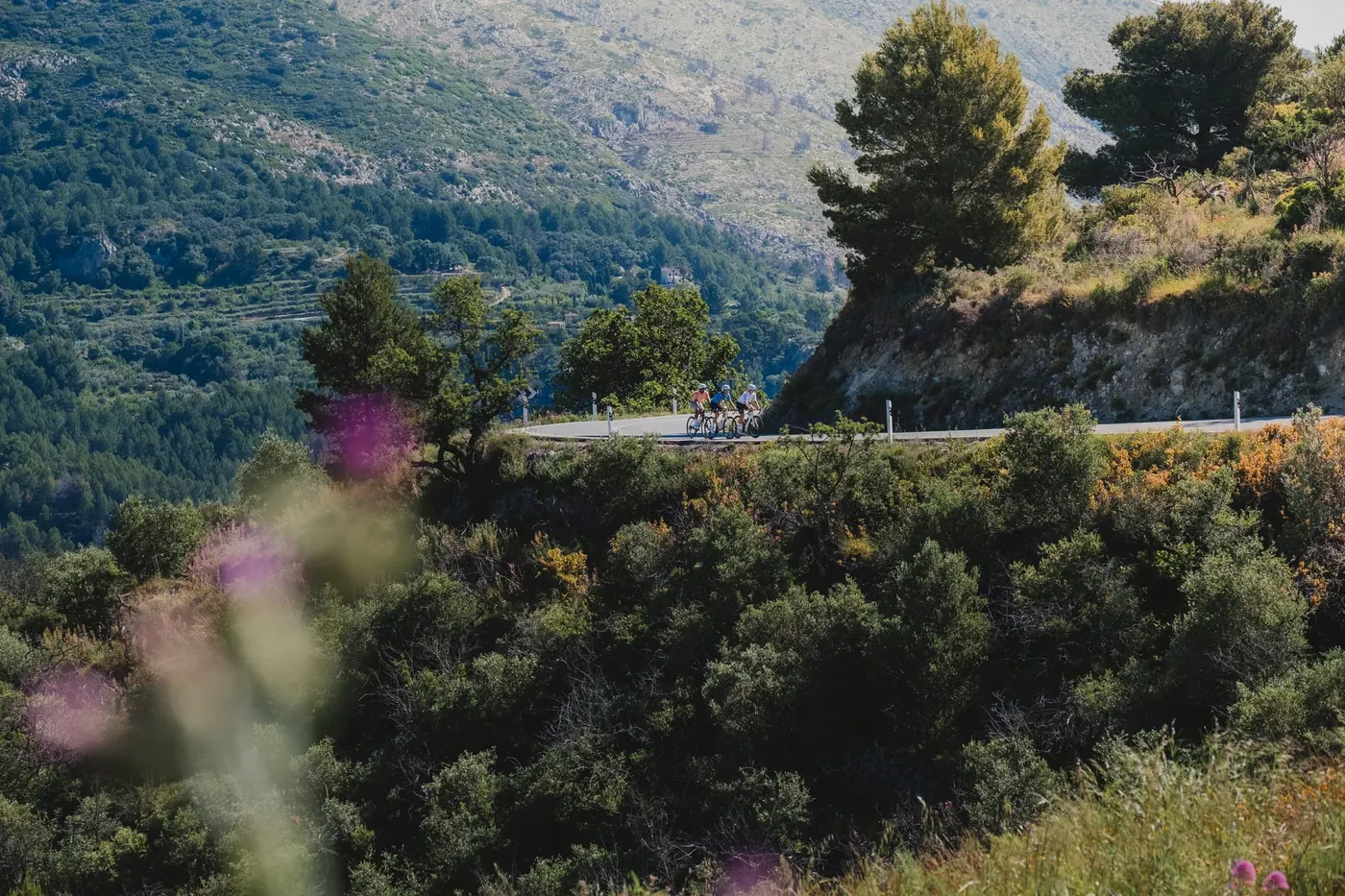 the roads we ride